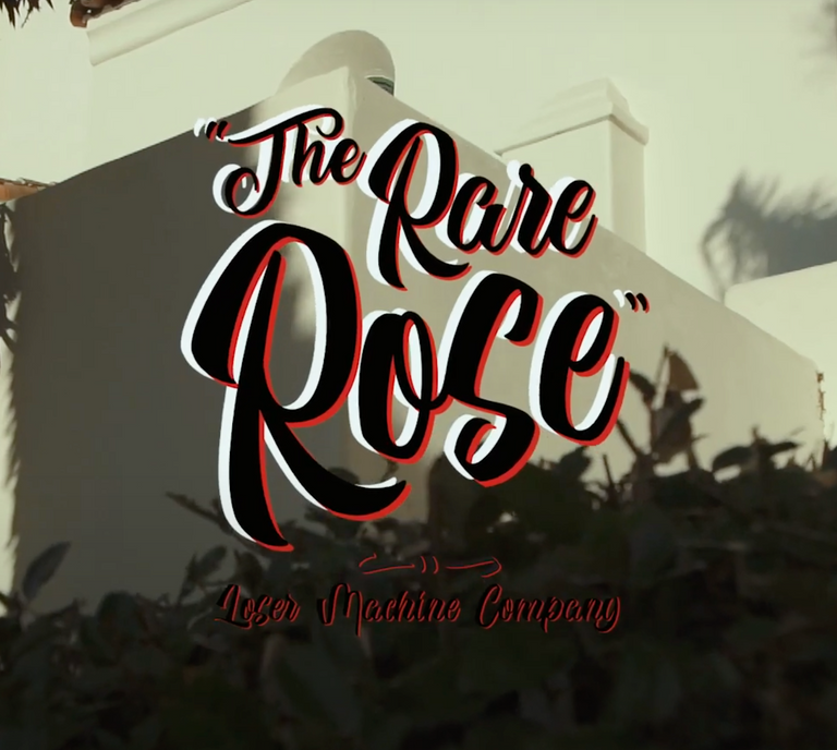 Loser Machine // Rare Rose Collection