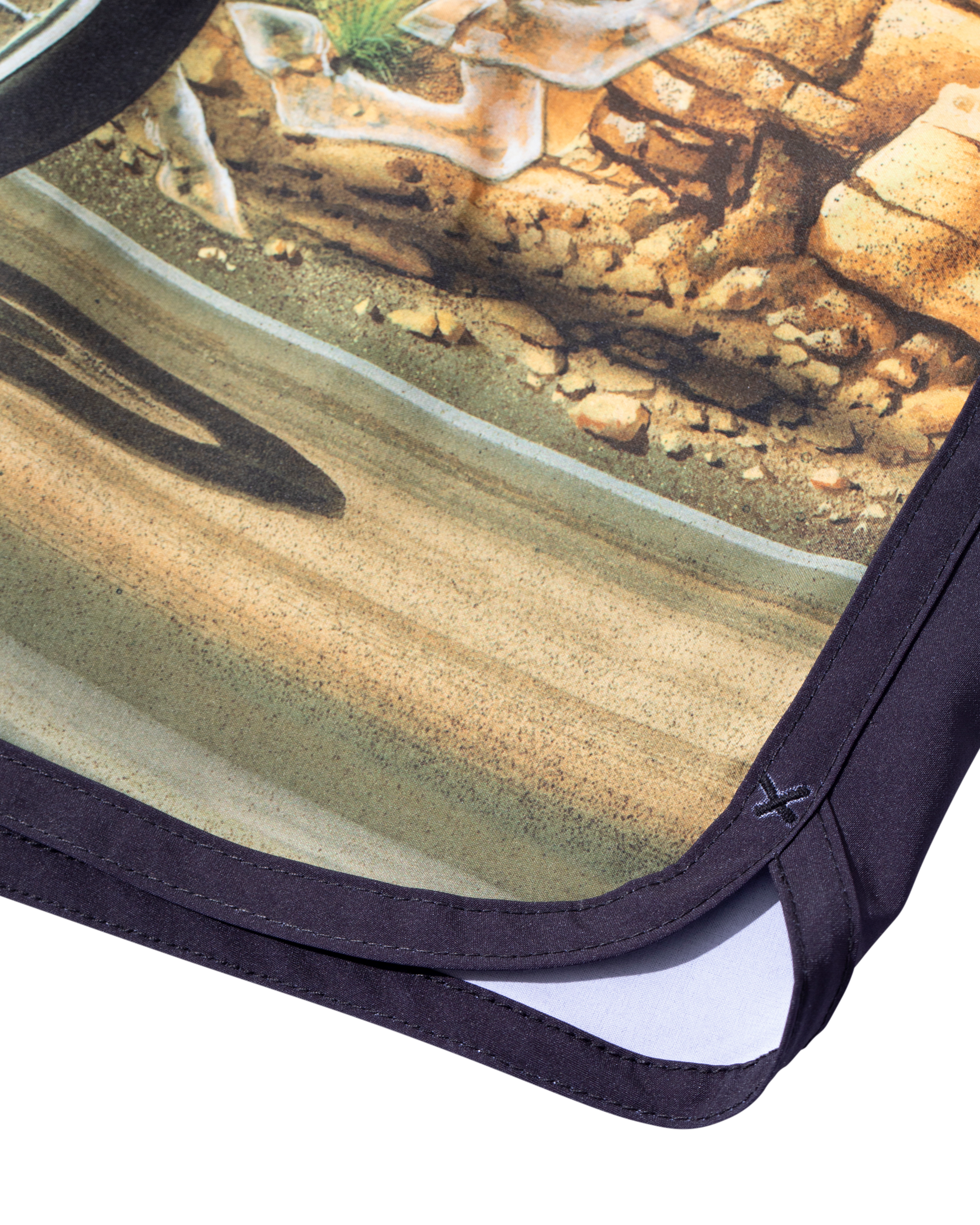 GHOST RIDER BOARDSHORT (zoomed)