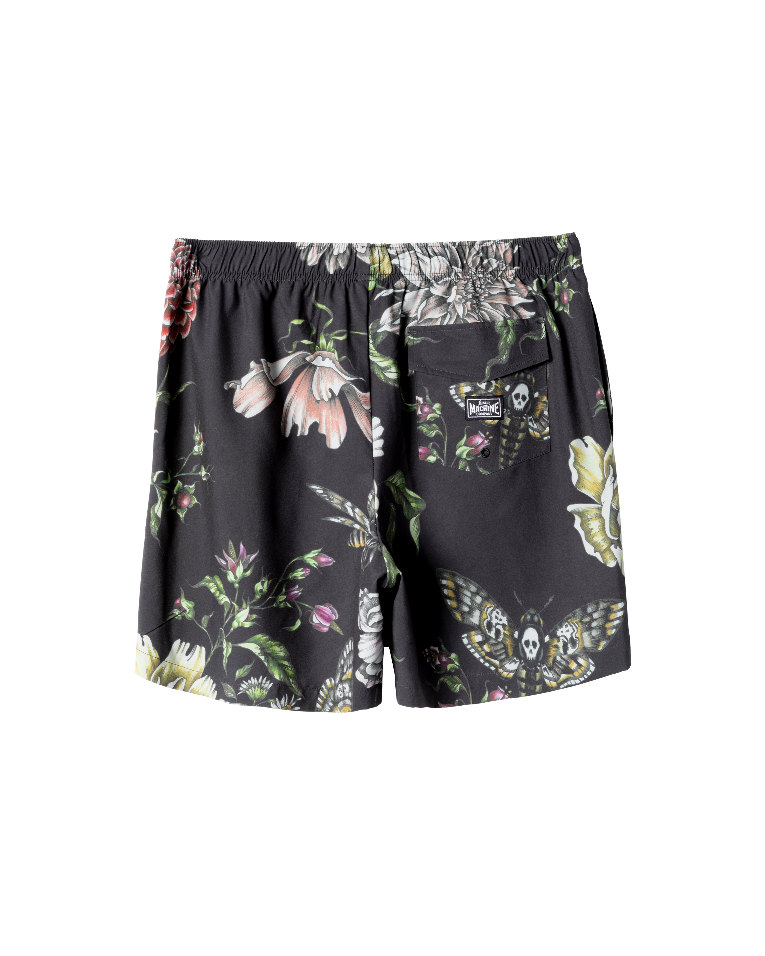 HAWKMOTH SHORT (zoomed)