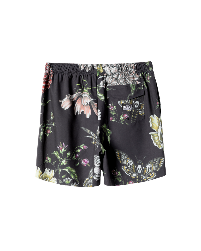 HAWKMOTH SHORT - alternate view