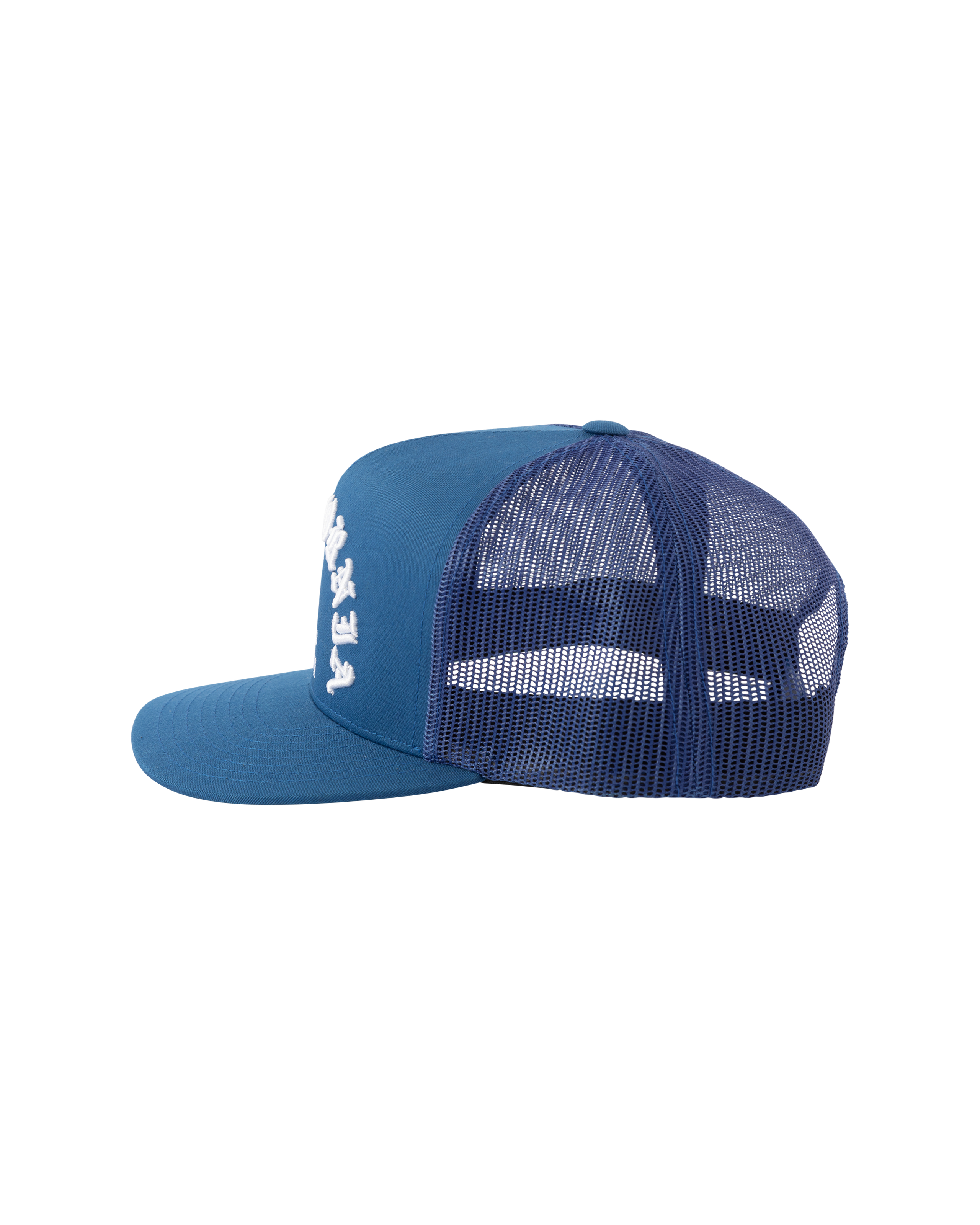 loser machine fanatic hat blue