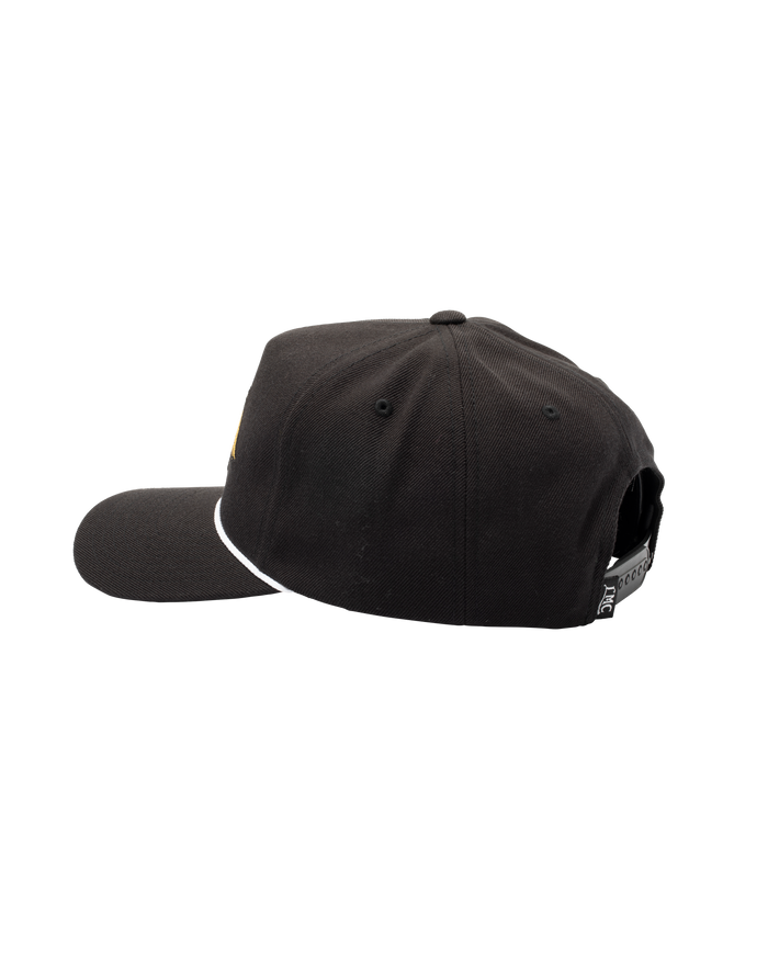 WINGS HIGH PROFILE HAT - alternate view